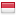 contohwebsite.link server is located in Indonesia